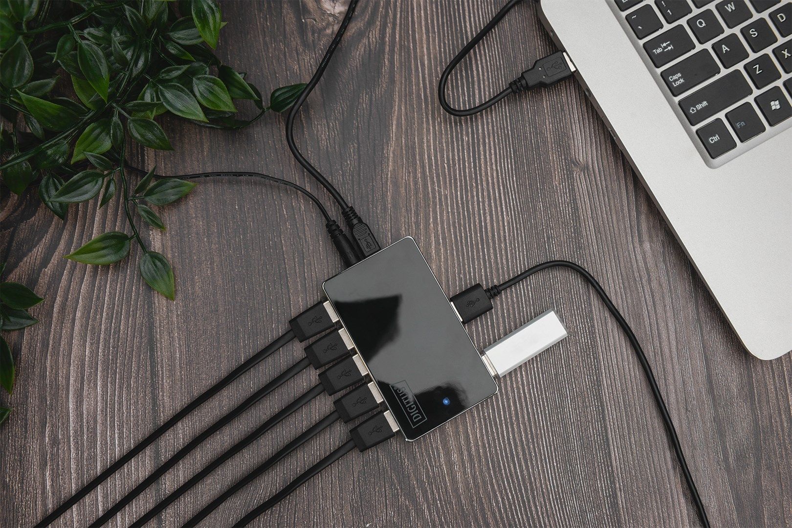 DIGITUS USB 2.0 10-Port Hub 10x USB A/F 1x USB mini incl. USB cable & power supply_3