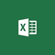 MS OVL Excel Lic/SA ADD 1Y2Y [NL]_1
