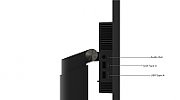 LN ThinkVision T24m-29 23.8