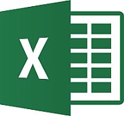 MS OVS Excel Lic/SA ADD 1Y1Y [NL]_1
