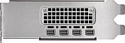 PNY 16GB RTX 2000 Ada 4x mDP LP Smallbox (without Adapter)_4