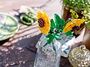 FLORILE SOARELUI, LEGO 40524_4