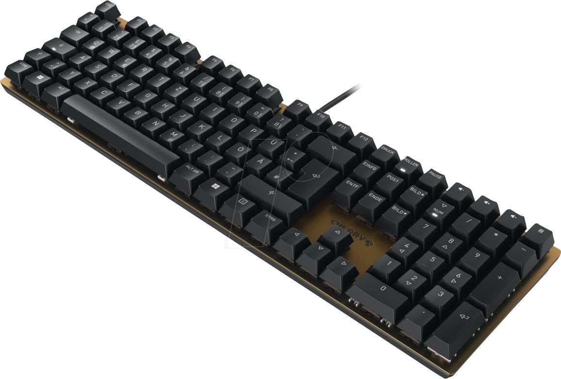 CHERRY Keyboard KC 200 MX MX2A BROWN [DE] black/bronze MX2A BROWN Switch_3