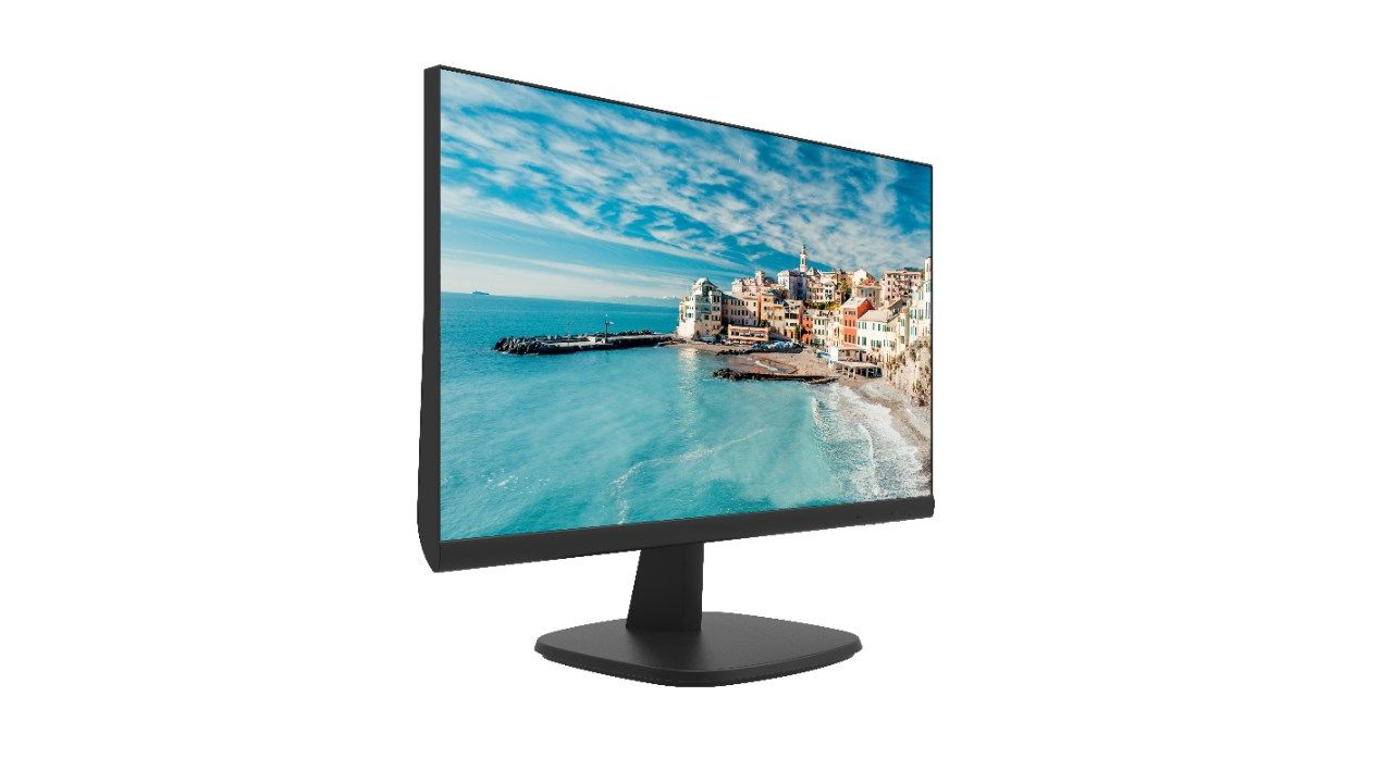 Monitor DS-D5024FN HIKVISION_4