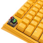 Ducky x Hotkeys Ducky League The Bulk_2