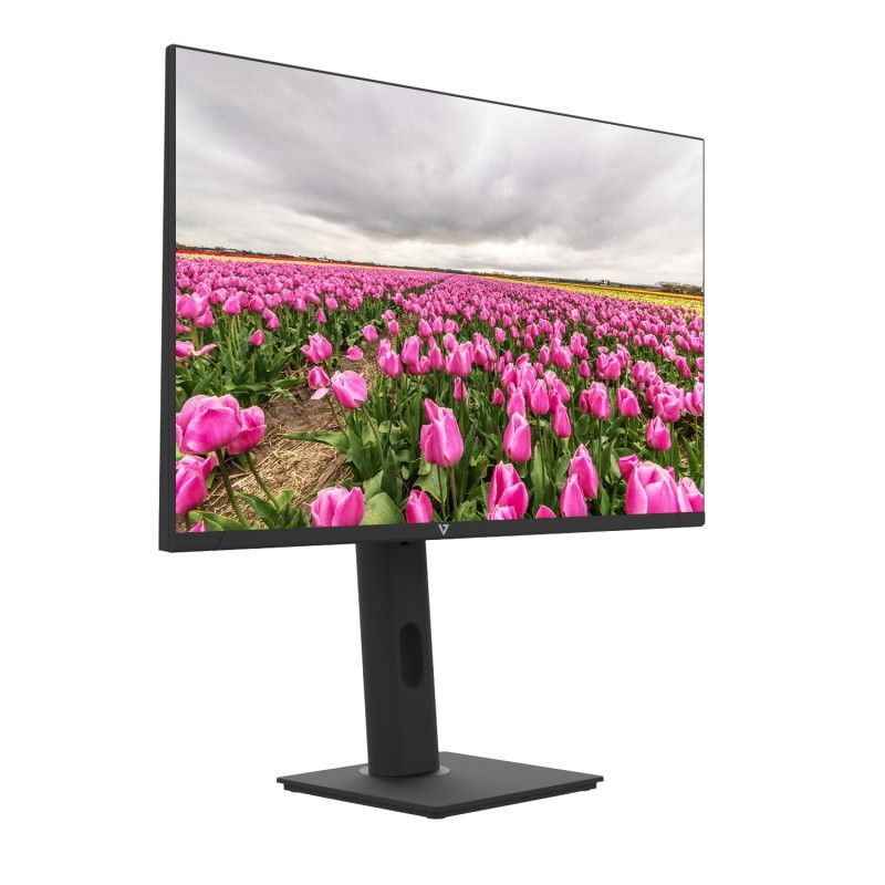 23.8IN HT ADJUST MONITOR HDMI/100HZ 1080P FHD IPS VGA SPEAKER_2
